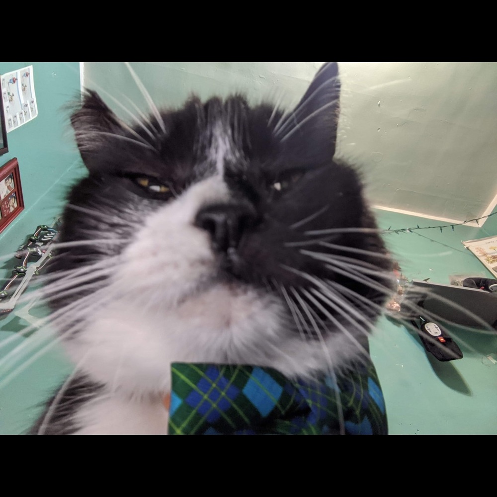 Meet your Posher, Aurora